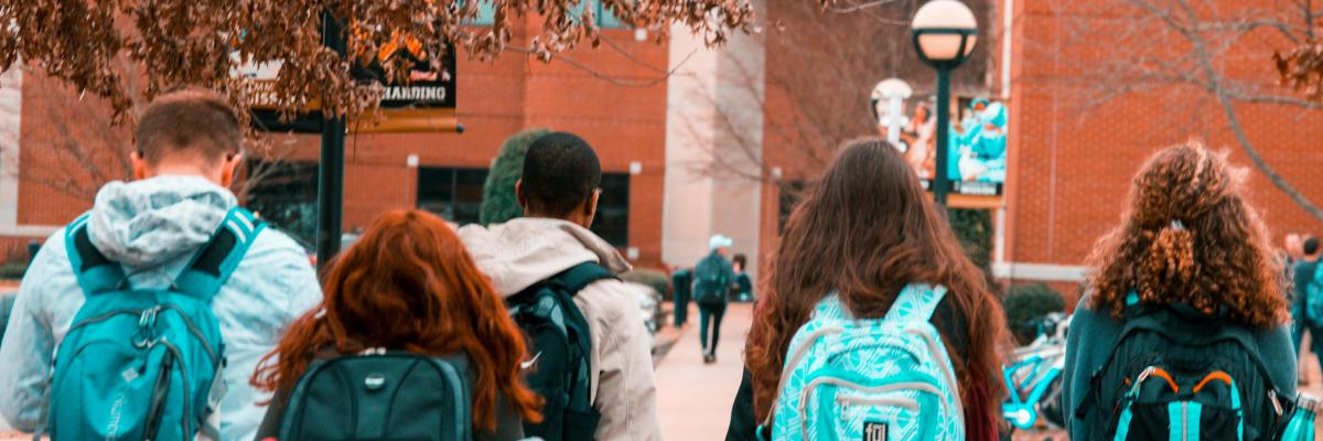 澳洲485签证申请指南：申请条件、学习要求与流程解析（Temporary Graduate Visa）